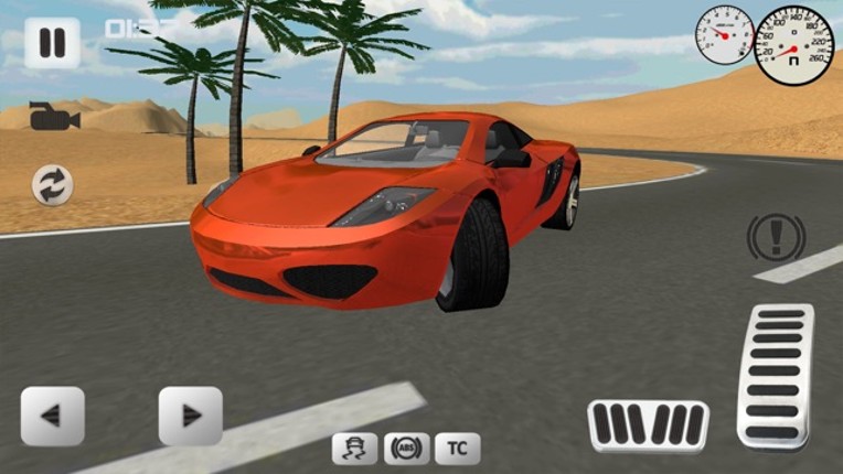 Sport Car Simulator 3D screenshot