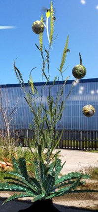 AR Biodiversity Image