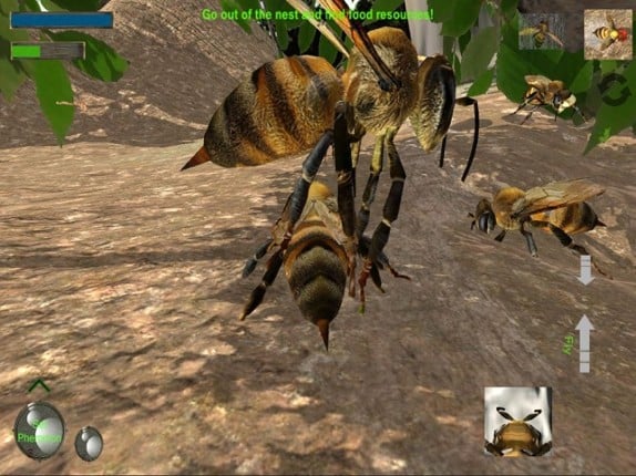 Bee Nest Simulator Full screenshot