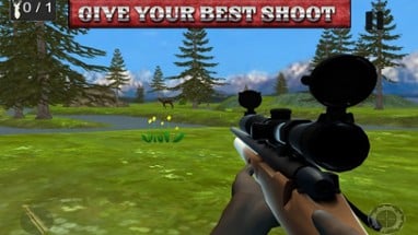 Best Shooter Deer:Hunting For Image