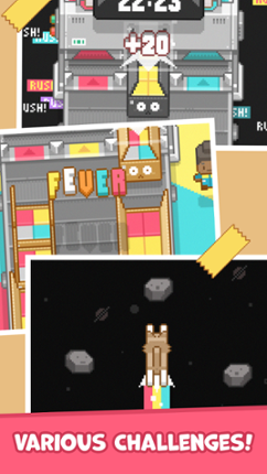 Box It Up! Inc. Image
