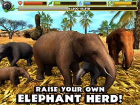 Elephant Simulator Image