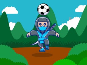 Ninja Head Ball Image