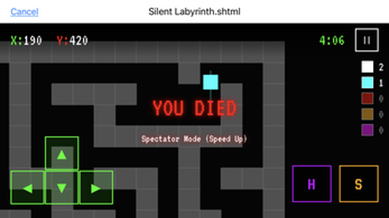 Silent Labyrinth Image