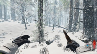 Snow Survival Image