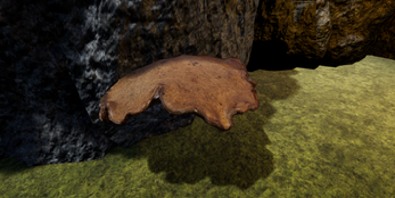 Mushroom Hunter screenshot