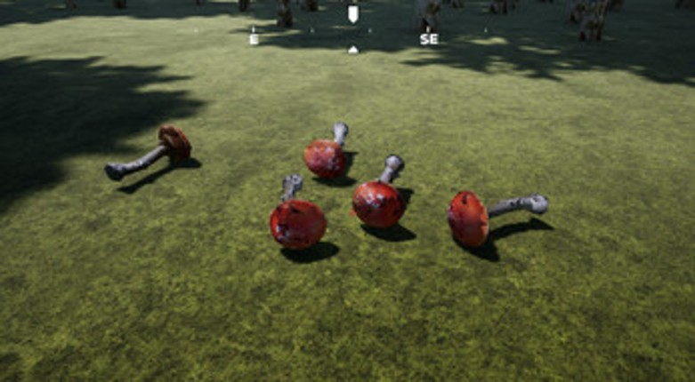 Mushroom Hunter Image