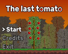 The Last Tomato Image