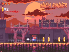 Ninja Runner The Game Image