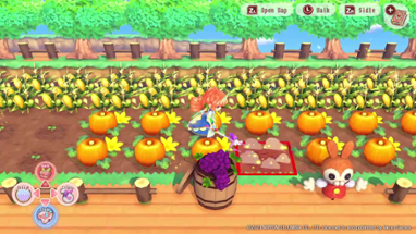 Pretty Princess Magical Garden Island Image