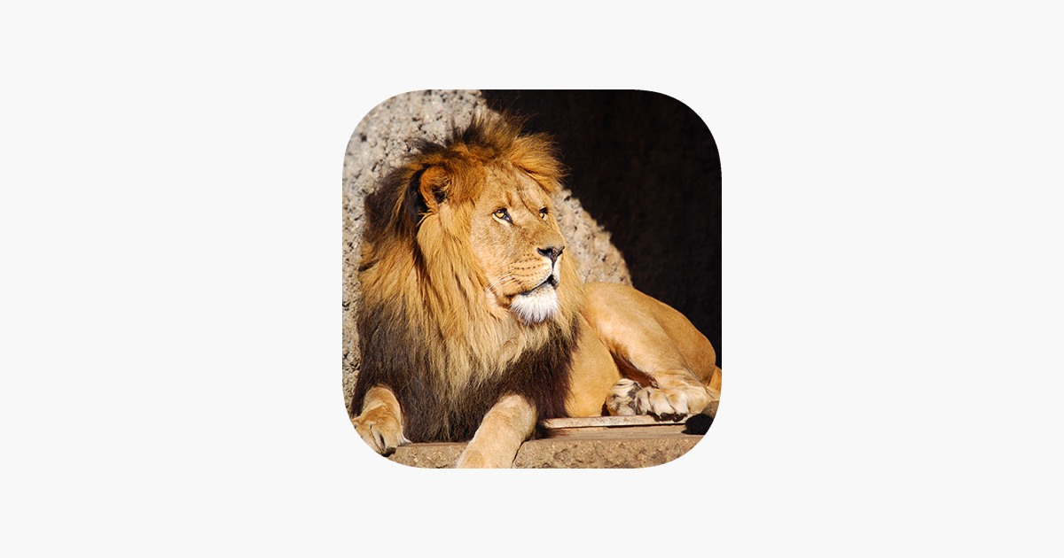 Games like Safari Spot the Difference