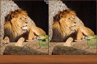 Safari Spot the Difference Image