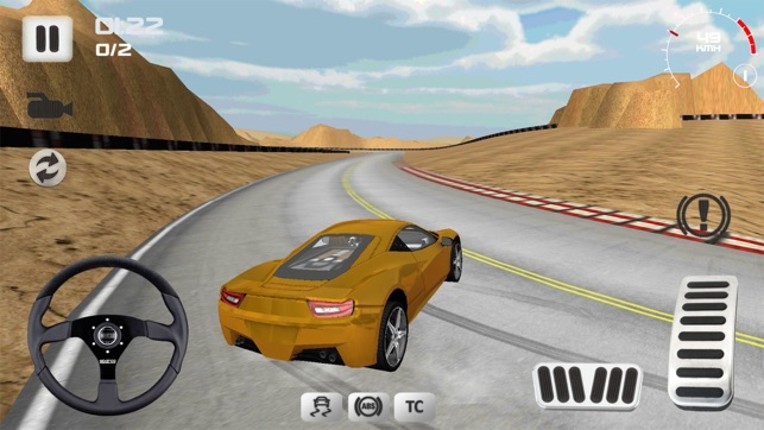 Sport Car Simulator 3D screenshot