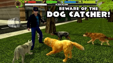 Stray Dog Simulator Image