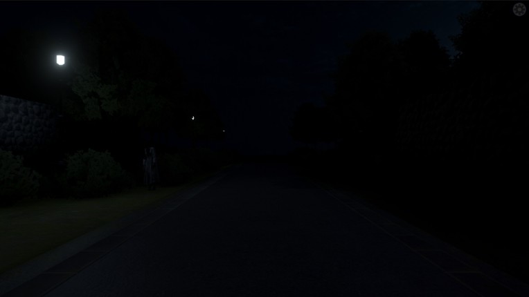 The Way Home at Night Image