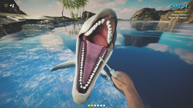 Dolphin Trainer VR Image