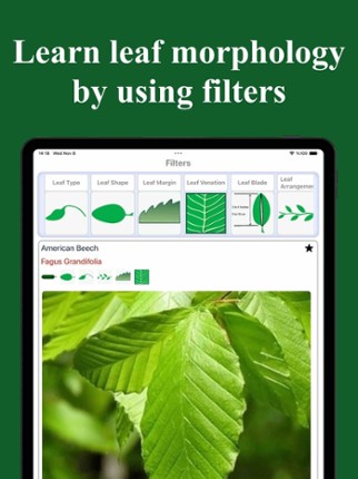 Forest Tree Identification screenshot