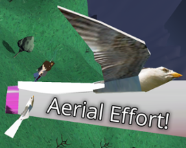 Aerial Effort! Image