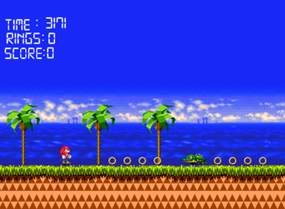 Knuckles In Seaside World Image