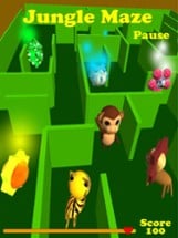 Jungle Maze Image