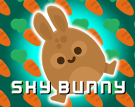 Sky Bunny Image