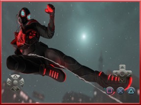 Spider Fight Image