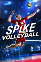 Spike Volleyball Image