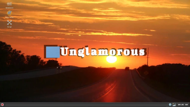 Unglamorous Image