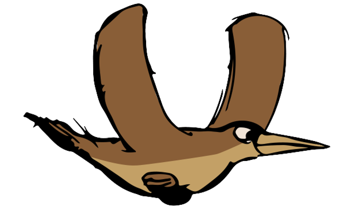 "El Vuelo del Hornero" Image