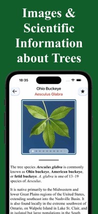 Forest Tree Identification screenshot