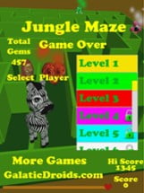 Jungle Maze Image