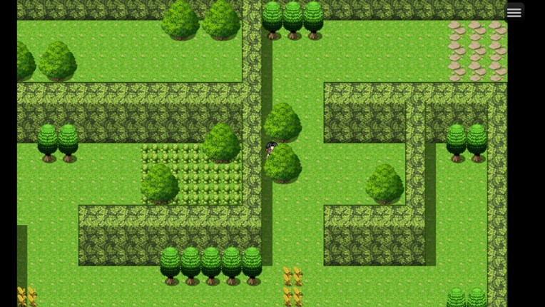 Oak Adventure The Maze screenshot