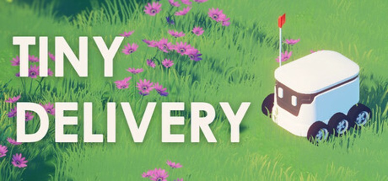 Tiny Delivery Image