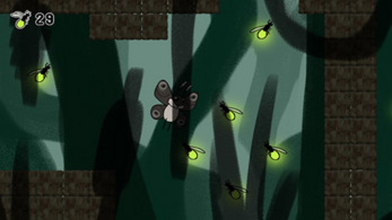 Firelight Swamp Image