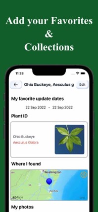 Forest Tree Identification screenshot