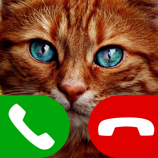 Games like fake call cat game