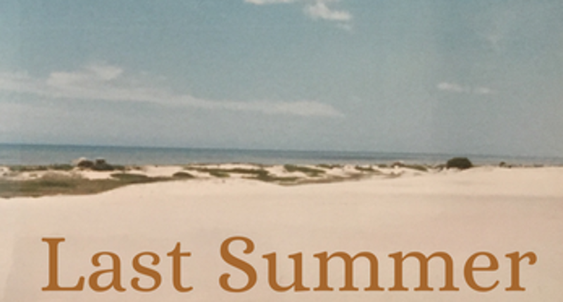 Last Summer screenshot