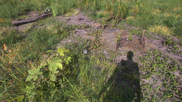 HIKE: Beyond the Trails screenshot