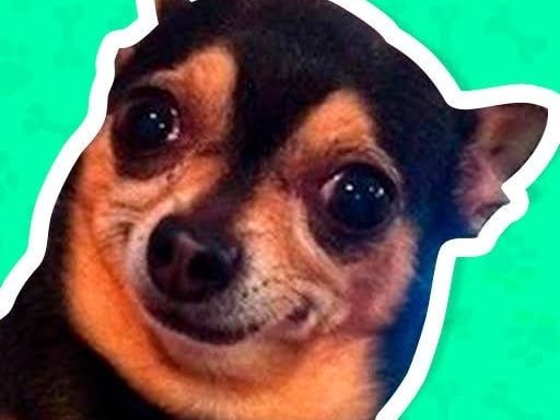 Games like What meme dog are you ?