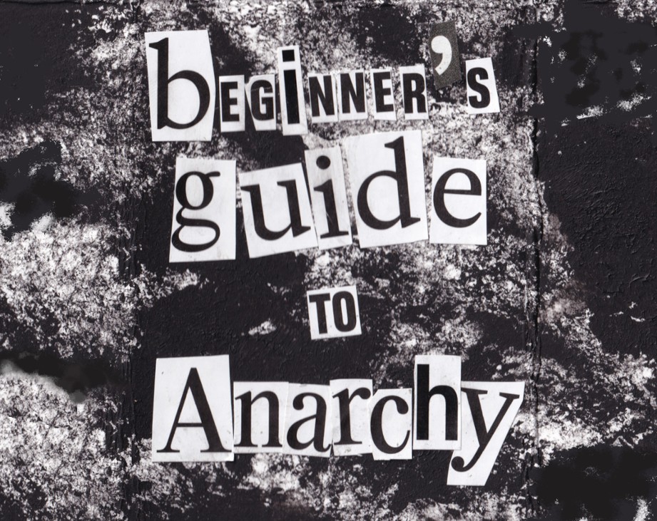 Games like Beginner's guide to Anarchy