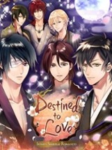 Destined to Love: Ikemen Samurai Romances Image