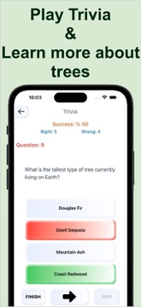 Forest Tree Identification Image