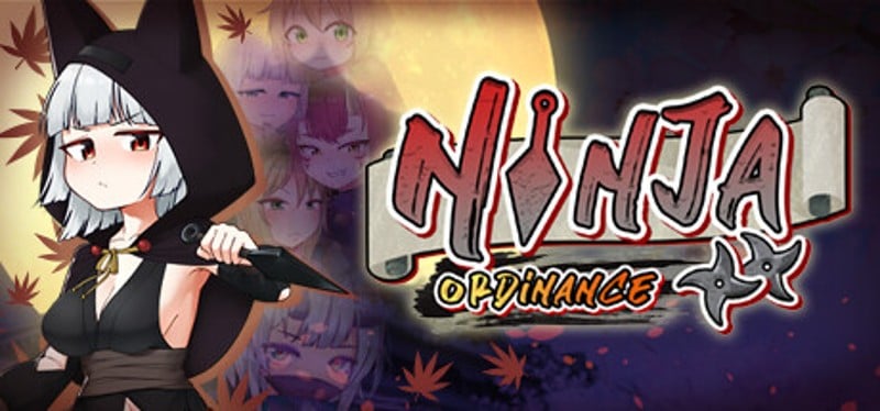 Ninja Ordinance Image