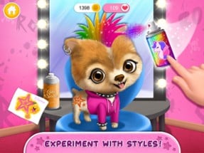 Animal Hair Salon Rock Stars Image