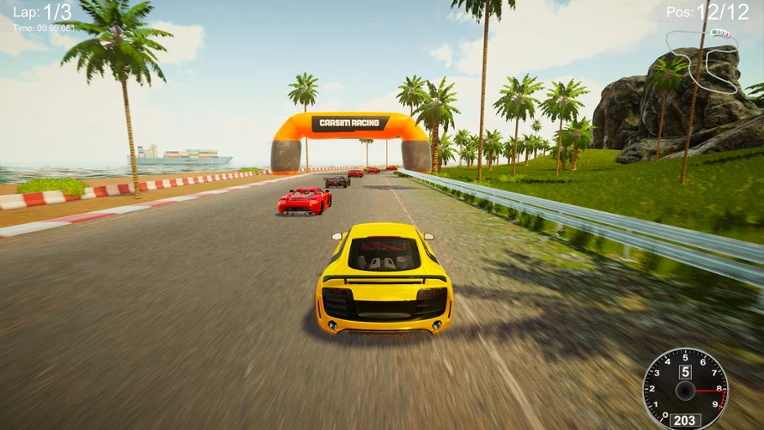 CarSim Racing screenshot