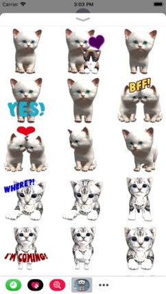 Cattery Image