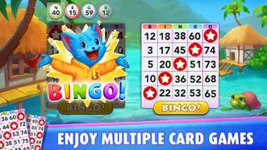 Bingo Blitz™ - BINGO Games Image