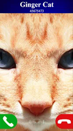 fake call cat game screenshot