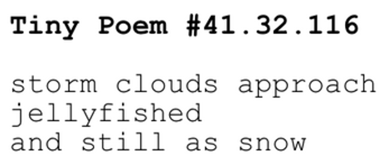 a trillion / quite tiny / little poems screenshot