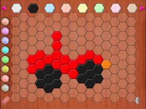 Hexagon Art Board Image